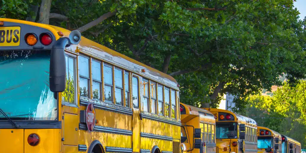 Row of school buses parked on the street.